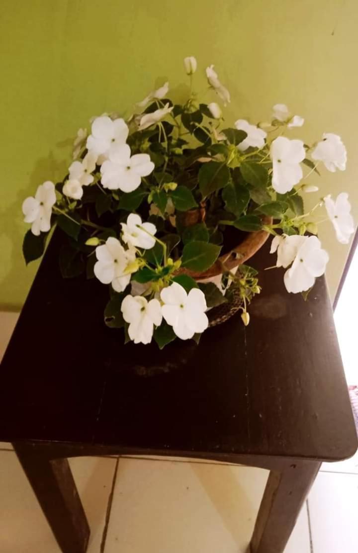 Bhoboghure Homestay Santiniketan بولبور المظهر الخارجي الصورة