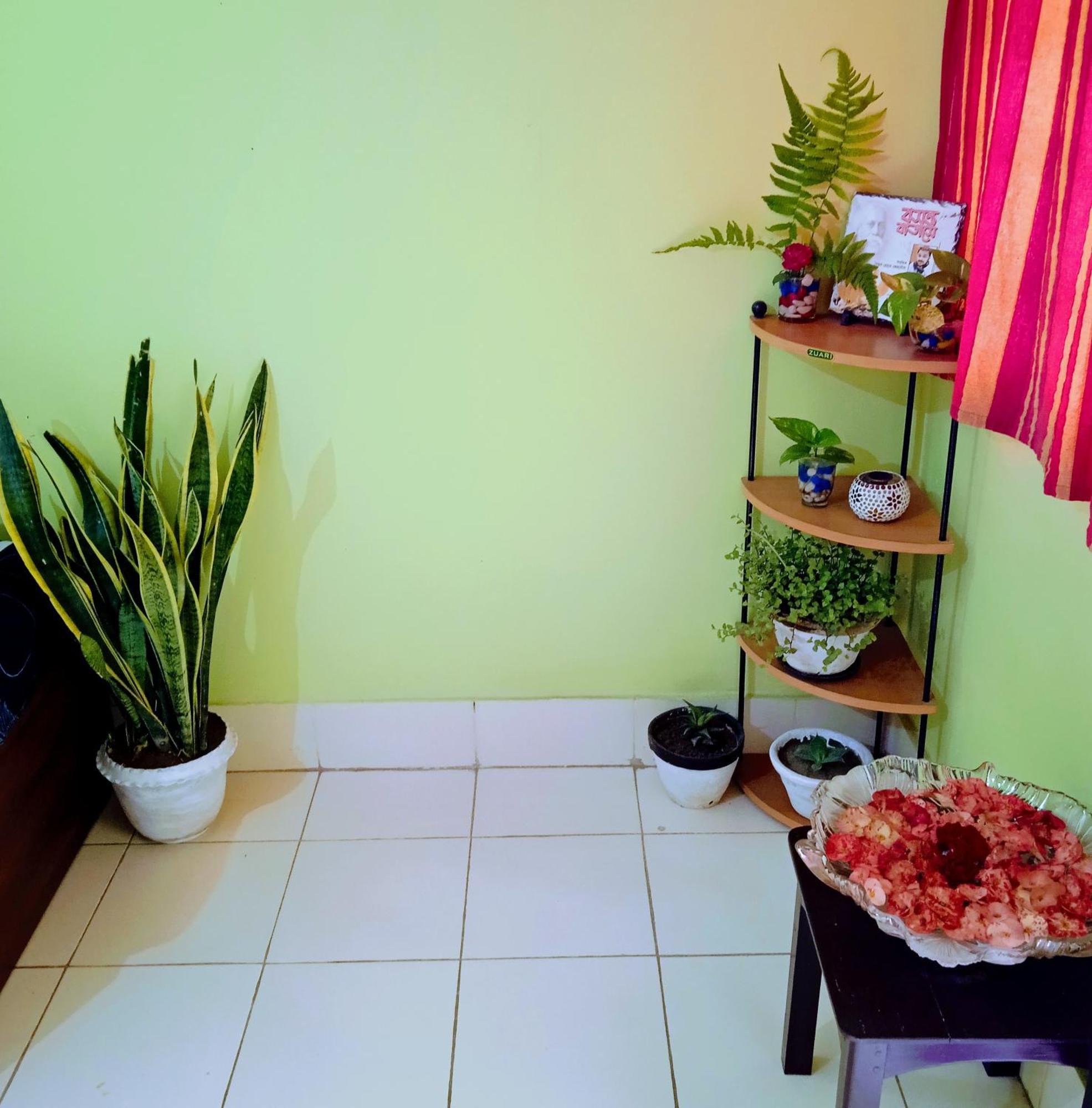 Bhoboghure Homestay Santiniketan بولبور المظهر الخارجي الصورة