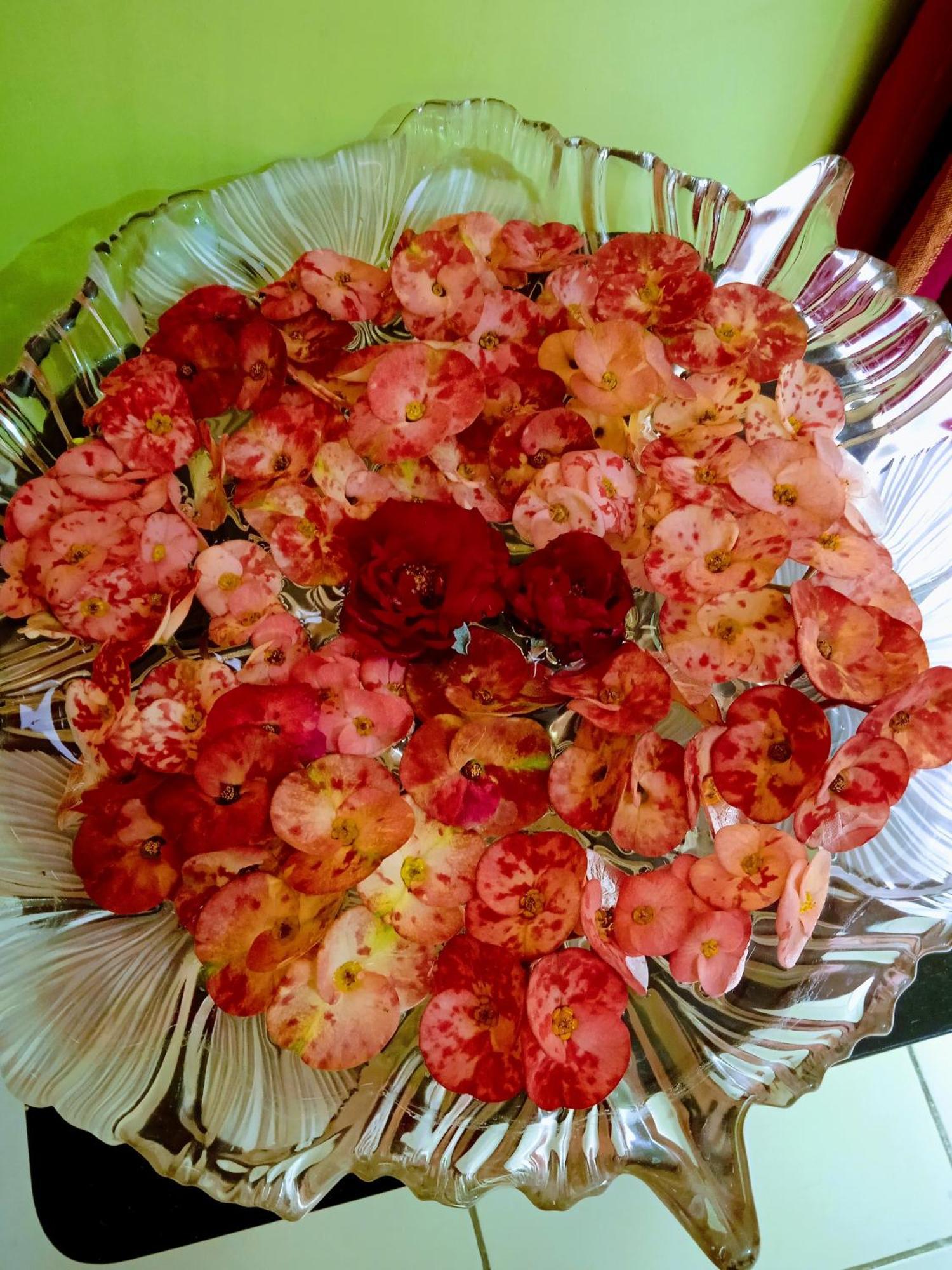 Bhoboghure Homestay Santiniketan بولبور المظهر الخارجي الصورة